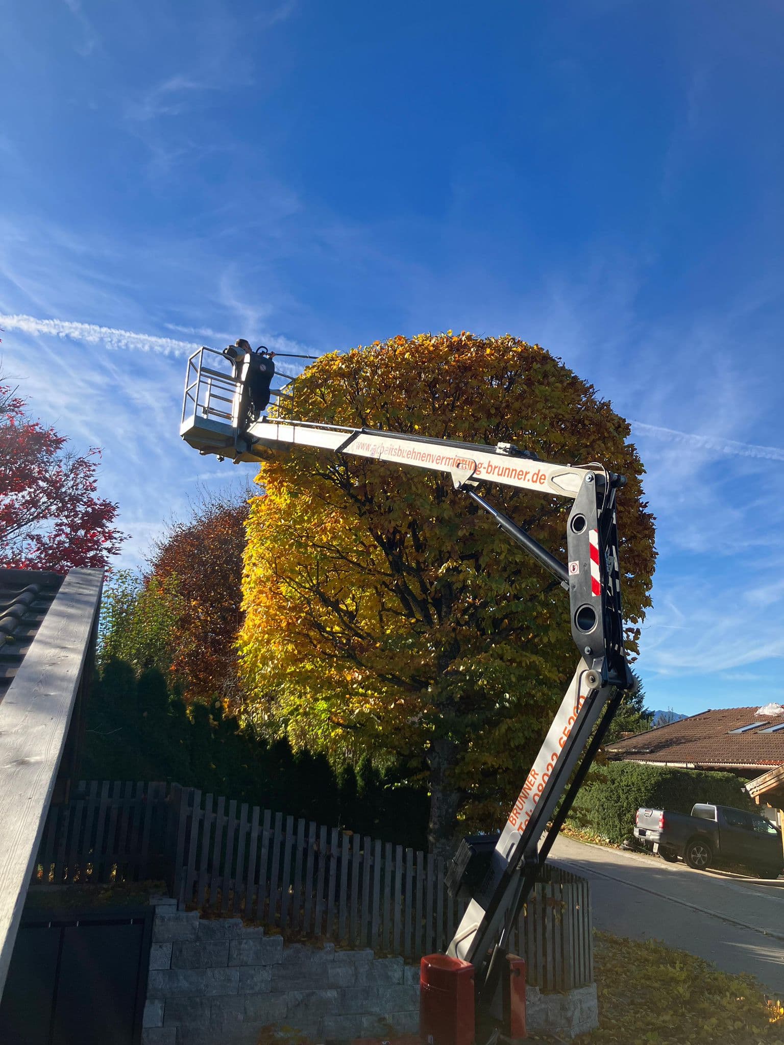 Tree climbing machinery and equipment